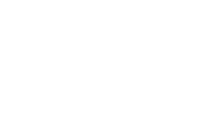 Dendro furniture